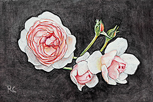 Three Roses
