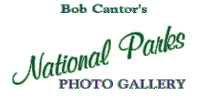 Bob Cantor's National Park Photo Gallery